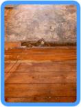 Water Damage Restoration Redwood City, CA