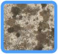 Redwood City, CA Water Damage Restoration